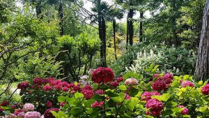 Heller1 300x169 - Giardino Heller Gardone Riviera