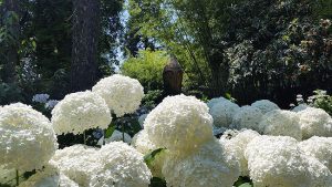 Heller10 300x169 - Giardino Heller Gardone Riviera