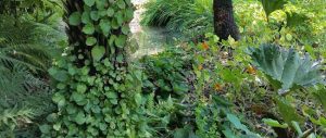 manutenzione giardini 300x127 - manutenzione-giardini