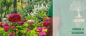 VERDE GIARD 300x125 - VERDE_GIARD
