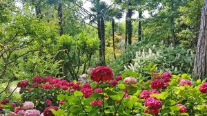 giardino 300x169 - giardino