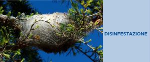 BANNER DISINFESTAZIONE 1 300x125 - BANNER_DISINFESTAZIONE