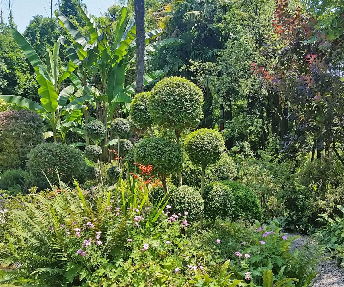 VERDE E GIARDINI 12 1200x1000 - VERDE E GIARDINI