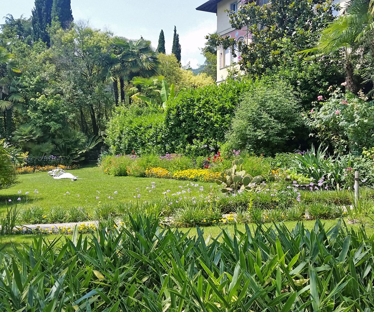 VERDE E GIARDINI 13 1200x1000 - VERDE E GIARDINI