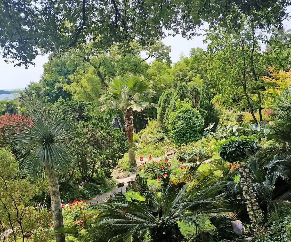 VERDE E GIARDINI 3 1200x1000 - VERDE E GIARDINI