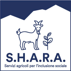 PROGETTO S.H.A.R.A. progetto shara - PROGETTO S.H.A.R.A.